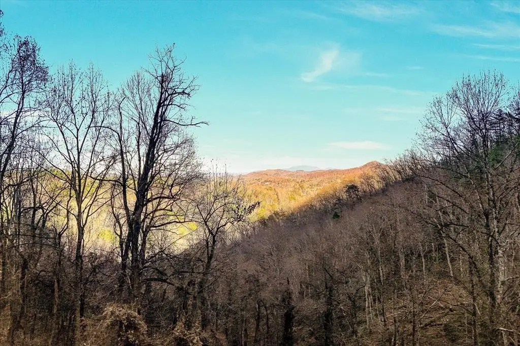 67 Balsam Slopes Rd, Sevierville, TN 37862 - #1