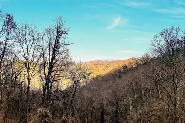 67 Balsam Slopes Rd, Sevierville, TN 37862