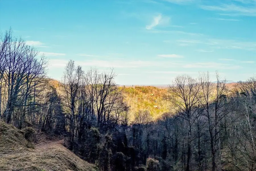 67 Balsam Slopes Rd, Sevierville, TN 37862 - #3