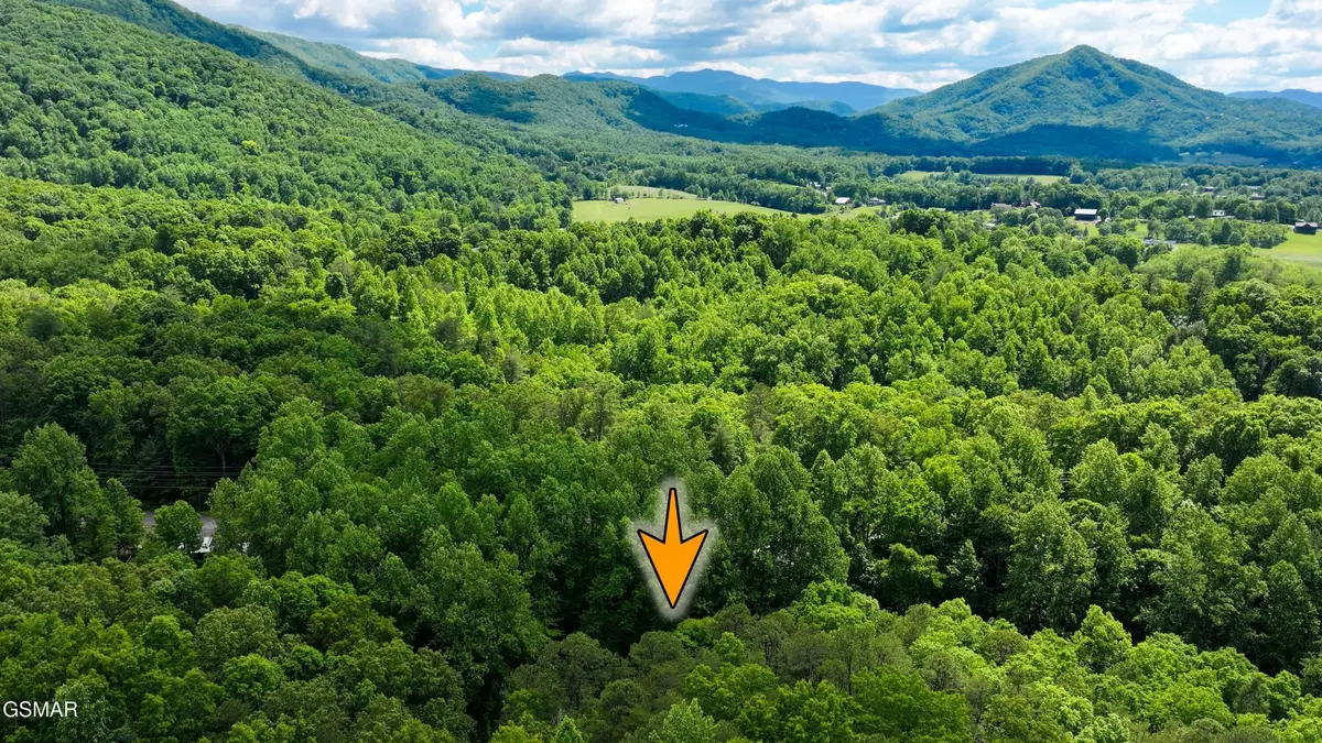 6 Covemont Lane, Sevierville, TN 37862 - #1