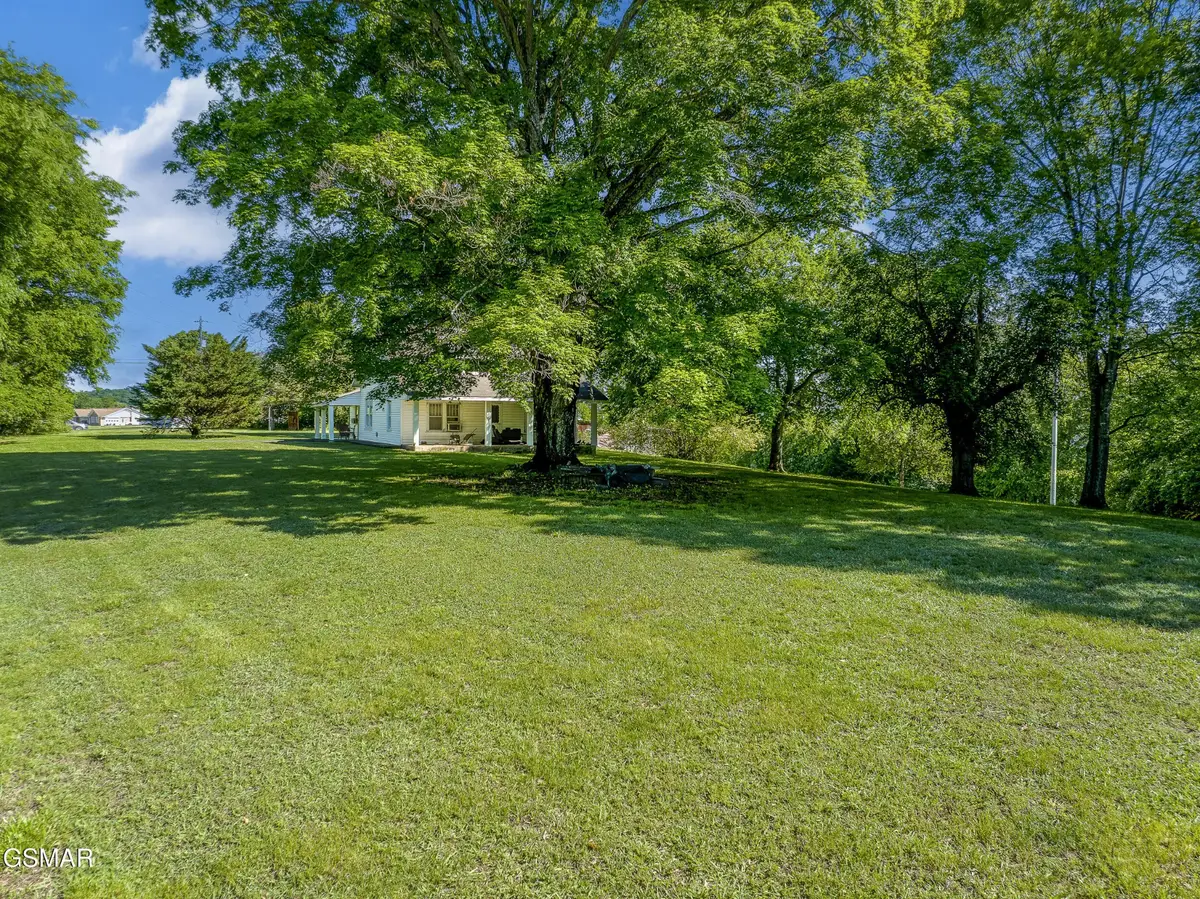 3744 Leadvale Road, White Pine, TN 37890 - #1
