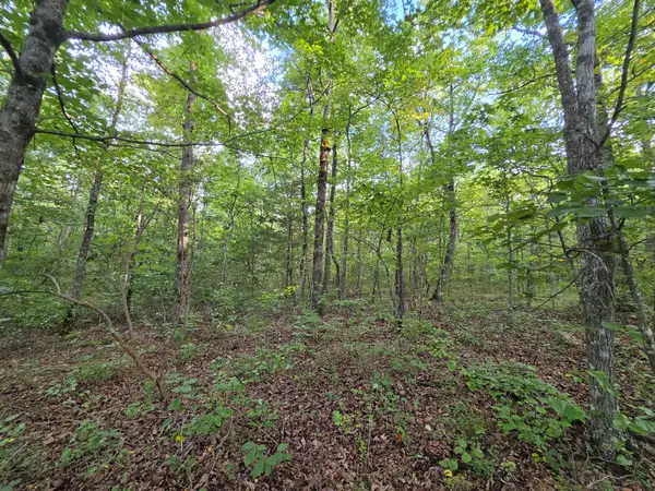 18 Meyers Road, Altamont, TN 37301