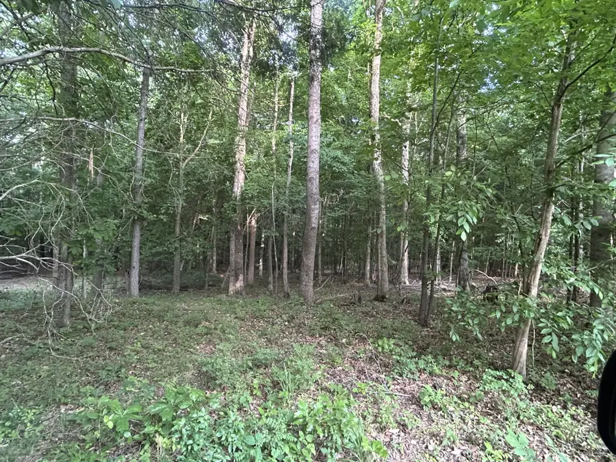0 Bethany Rd, Erin, TN 37061 - #2