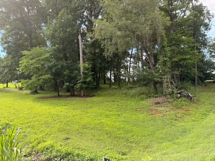 106 Hillside Dr, Dickson, TN 37055 - #3