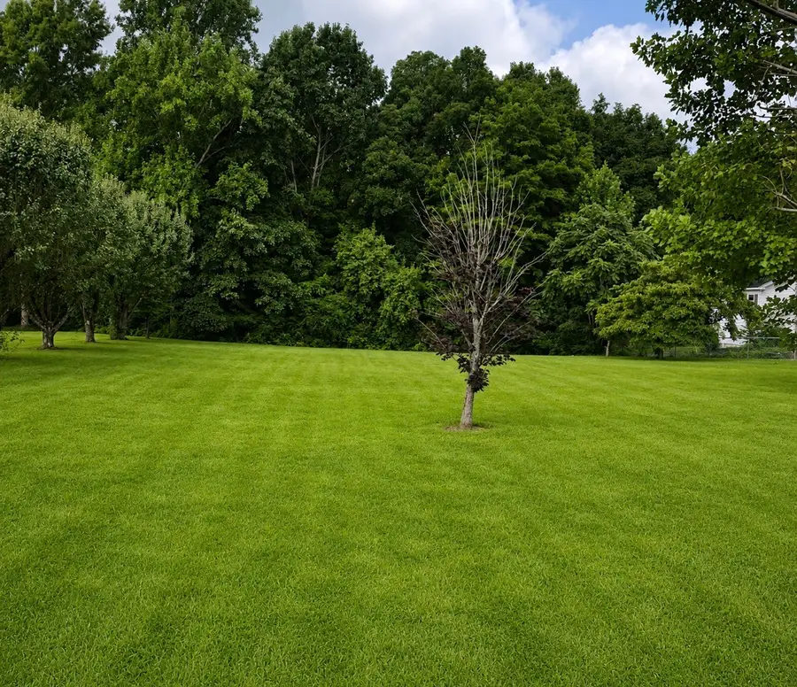53 Pine Grove Rd, Smithville, TN 37166 - #2