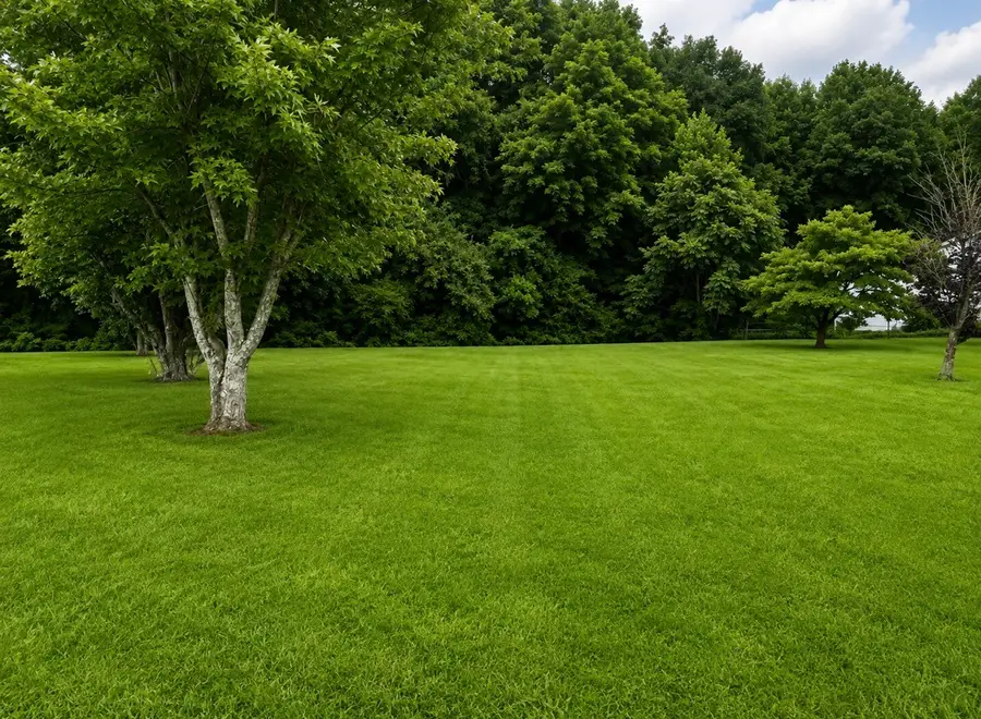53 Pine Grove Rd, Smithville, TN 37166 - #3