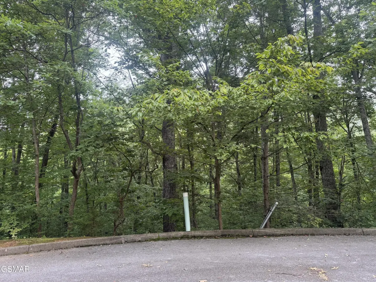 1214 Saddle Spur Way, Sevierville, TN 37862 - #1