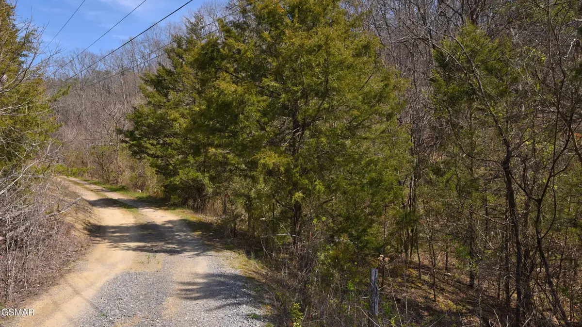 912 Cooley King Road, Kodak, TN 37764 - #1