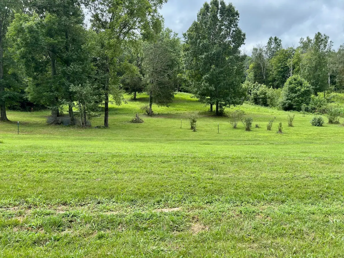 564 Dry Branch Road, Dixon Springs, TN 37057 - #1