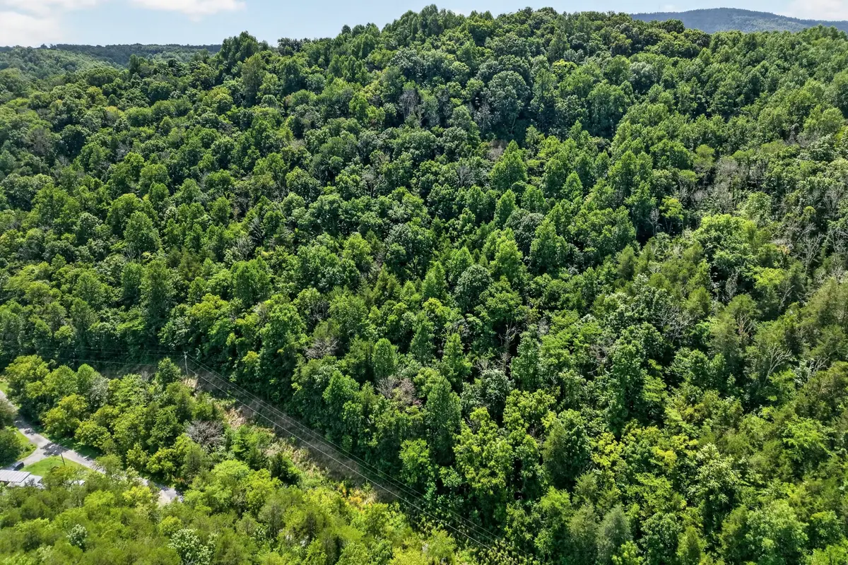 2949 Wilmouth Creek Rd, Liberty, TN 37095 - #1