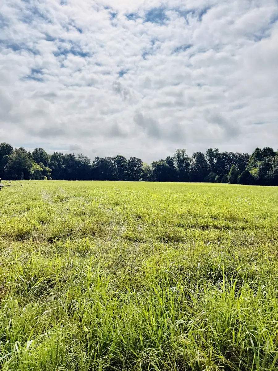 0 Sweet Springs Rd, Kelso, TN 37348 - #3
