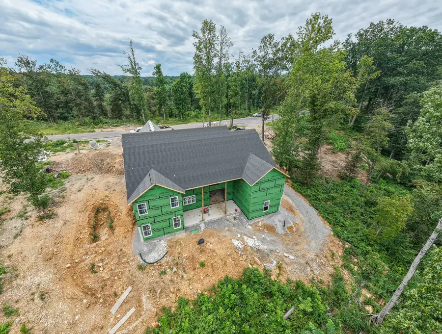 349 Fallingtimber Drive, Pegram, TN 37143 - #3