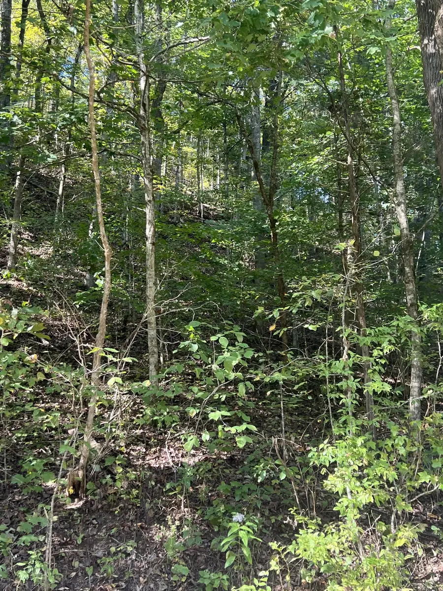 0 Neeley Creek Rd, Celina, TN 38551 - #3