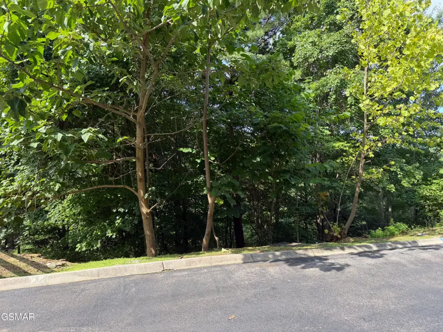 56 Smoky Ridge Way, Sevierville, TN 37862 - #2