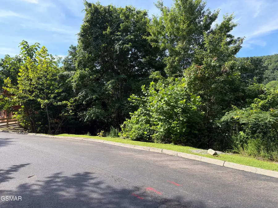56 Smoky Ridge Way, Sevierville, TN 37862 - #3