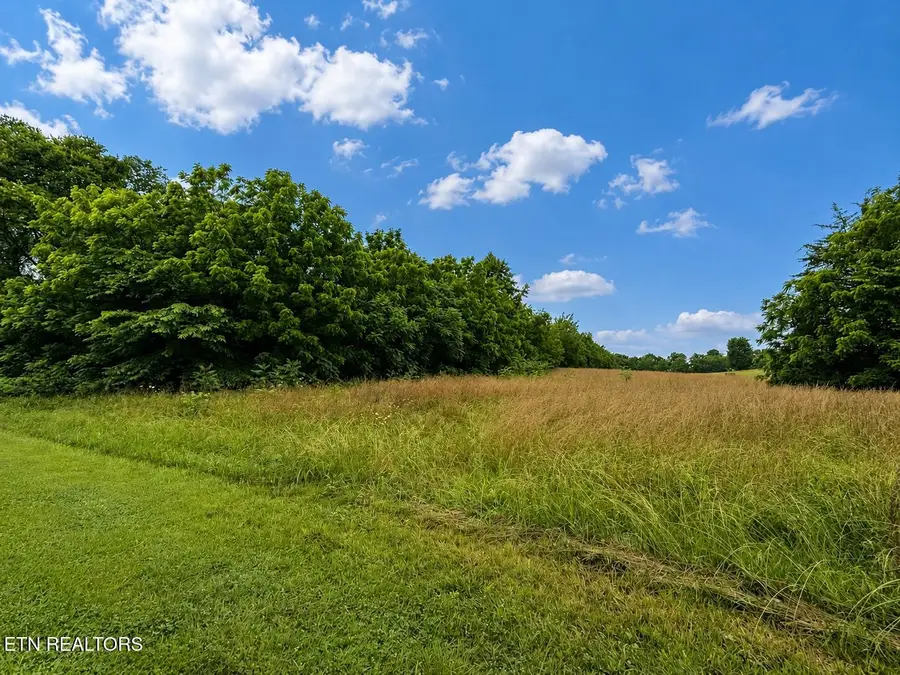 0 Lot 20 Autumn Woods Tr, Sweetwater, TN 37874 - #2