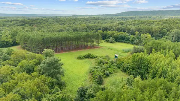 0 Coffelt Town Road, Palmer, TN 37365