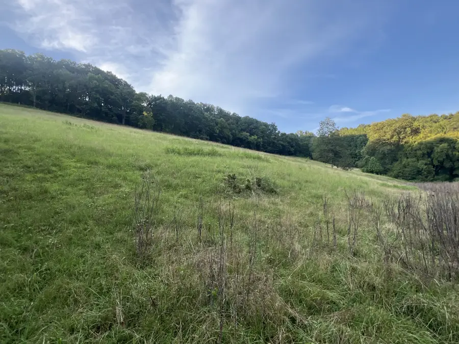 0 Club Springs Rd Off 263, Elmwood, TN 38560 - #3
