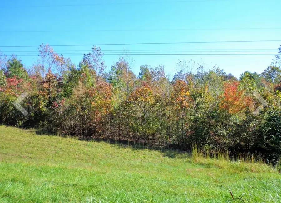 0 Highway 13 N, Waverly, TN 37185 - #2