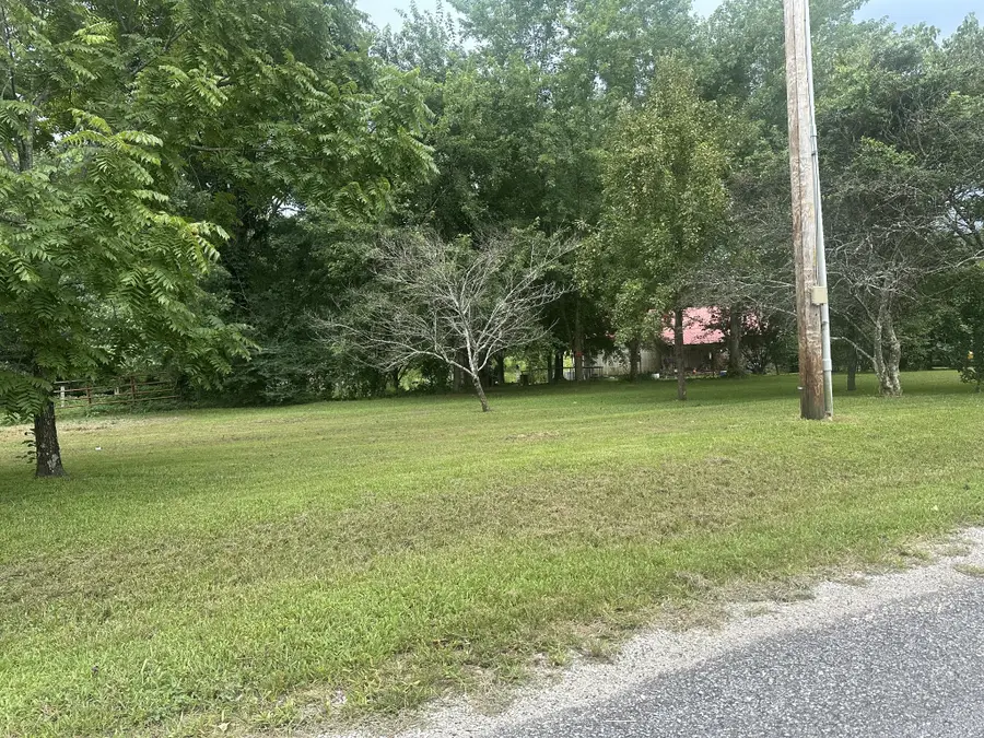 275 Paul Spears Rd, Summertown, TN 38483 - #3