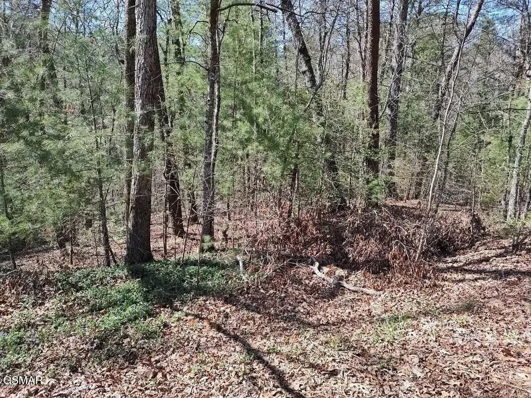 10 John Boy Trail, Sevierville, TN 37862 - #1