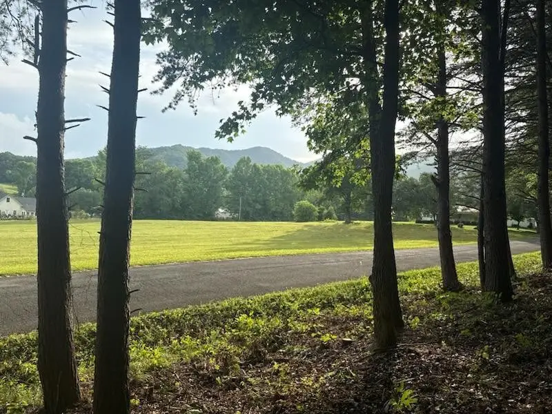 7 Tennessee 68, Turtletown, TN 37391 - #1