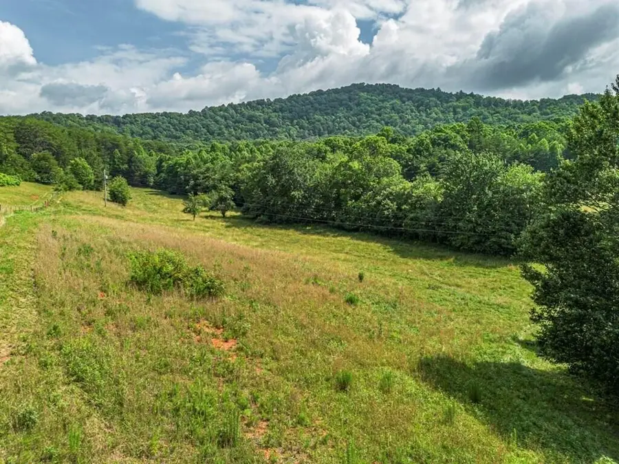 541 Pleasant Hill Road, Copperhill, TN 37317 - #2