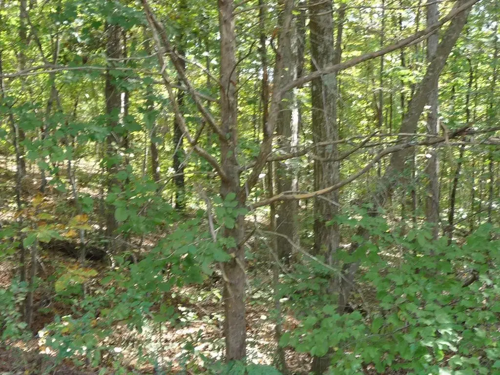 0 Ridge Point Drive Nw, Cleveland, TN 37312 - #1
