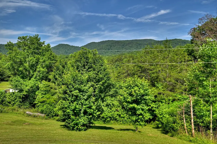 3892 Highway 68, Turtletown, TN 37391 - #2