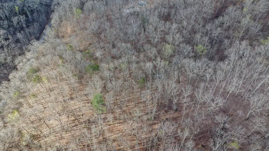 435 Hidden Oaks Road, Harriman, TN 37748 - #2