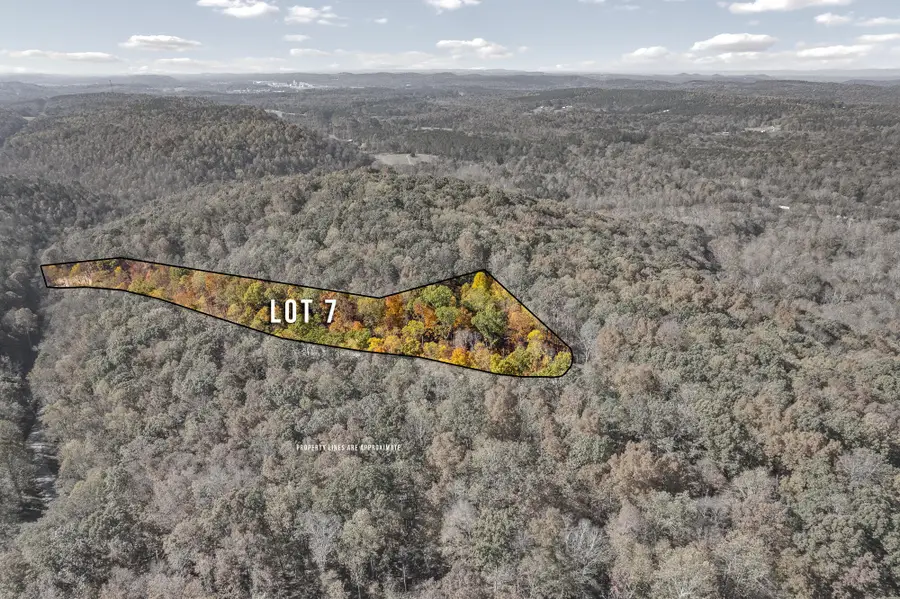 6 County Road 29, Riceville, TN 37370 - #3