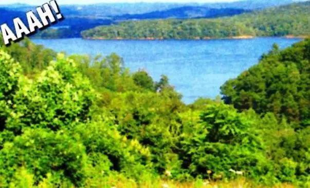 406 Flint Ridge Road, Harriman, TN 37748 - #1