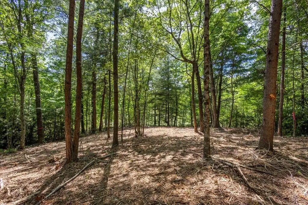42 Donley Road, Murphy, NC 28906 - #1