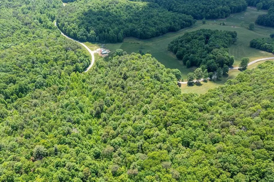 42 Donley Road, Murphy, NC 28906 - #2