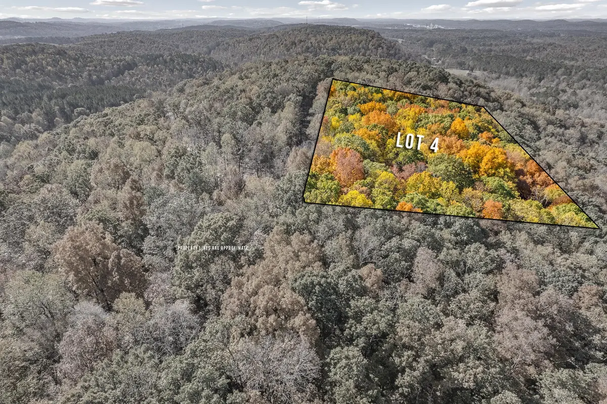 4 County Road 29, Riceville, TN 37370 - #1