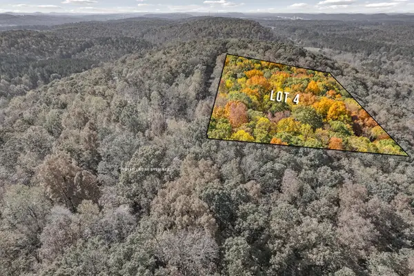 4 County Road 29, Riceville, TN 37370