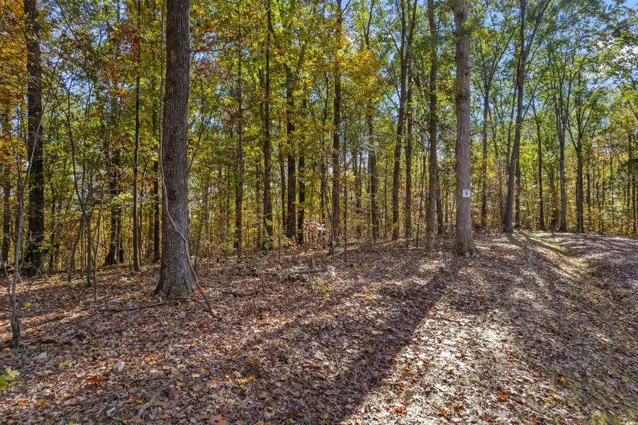 4 County Road 29, Riceville, TN 37370 - #3