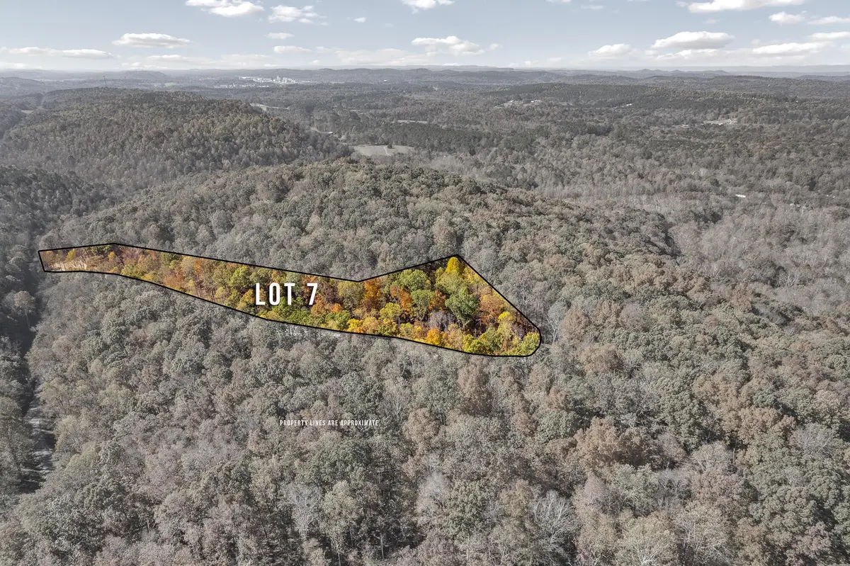 7 County Road 29, Riceville, TN 37370 - #1