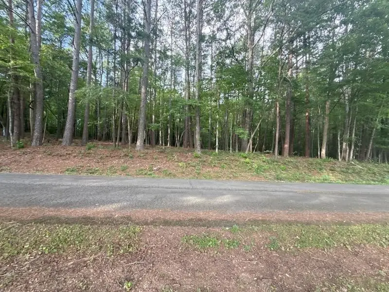 4 Tennessee 68, Turtletown, TN 37391 - #1