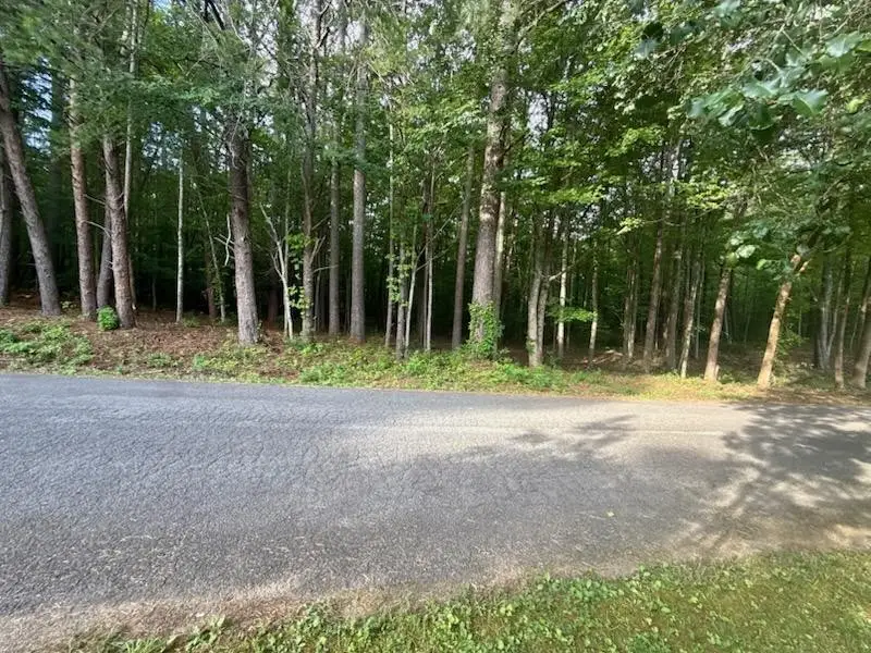 5 Tennessee 68, Turtletown, TN 37391 - #1