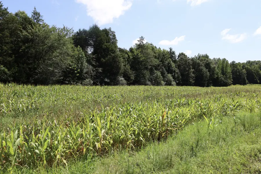 0 Hwy 69s, Paris, TN 38242 - #2