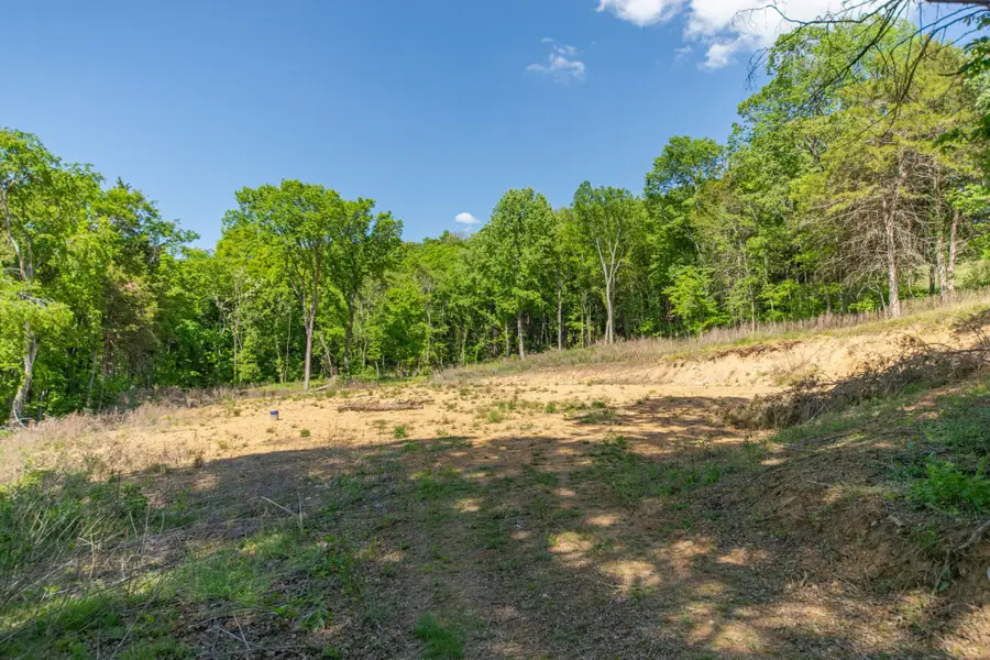 0 Globe Rd, Lewisburg, TN 37091 - #3