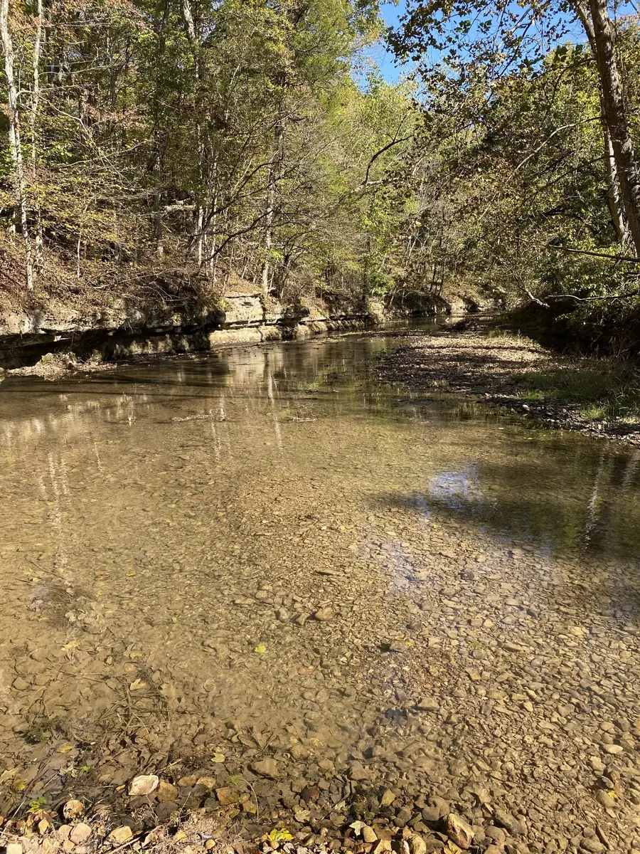 901 Britton Springs Rd, Clarksville, TN 37042 - #3