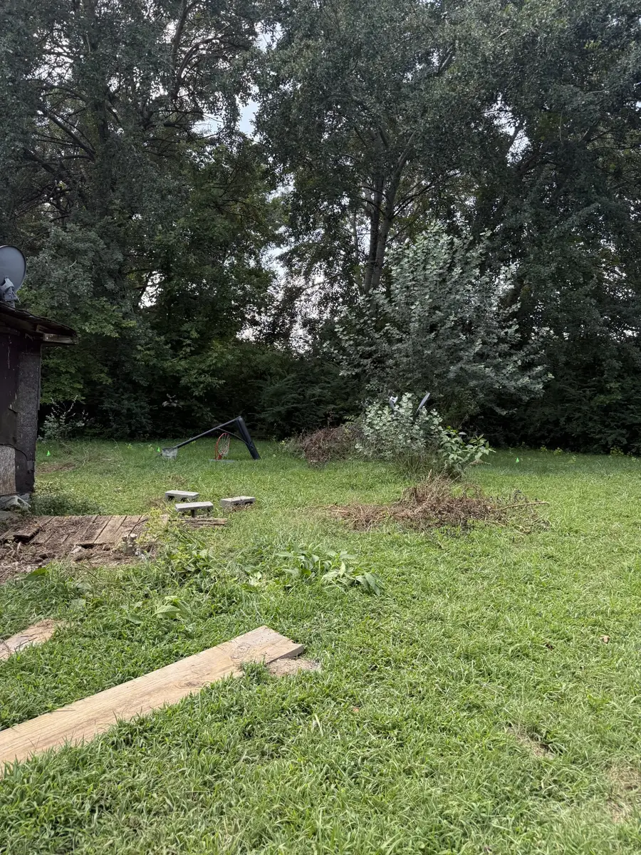 1025 Old Bear Creek Rd, Vanleer, TN 37181 - #3