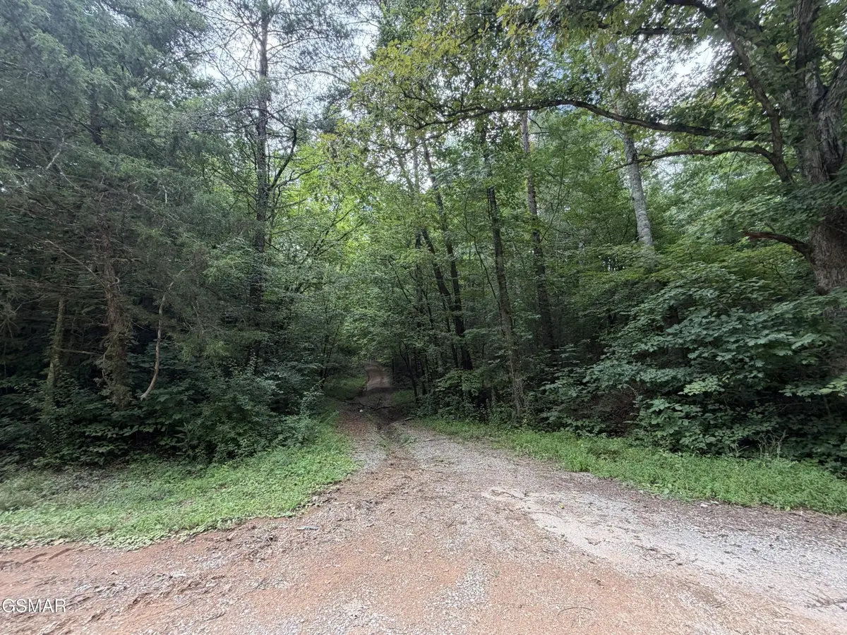 15 Forge Hideaway Road, Pigeon Forge, TN 37863 - #1