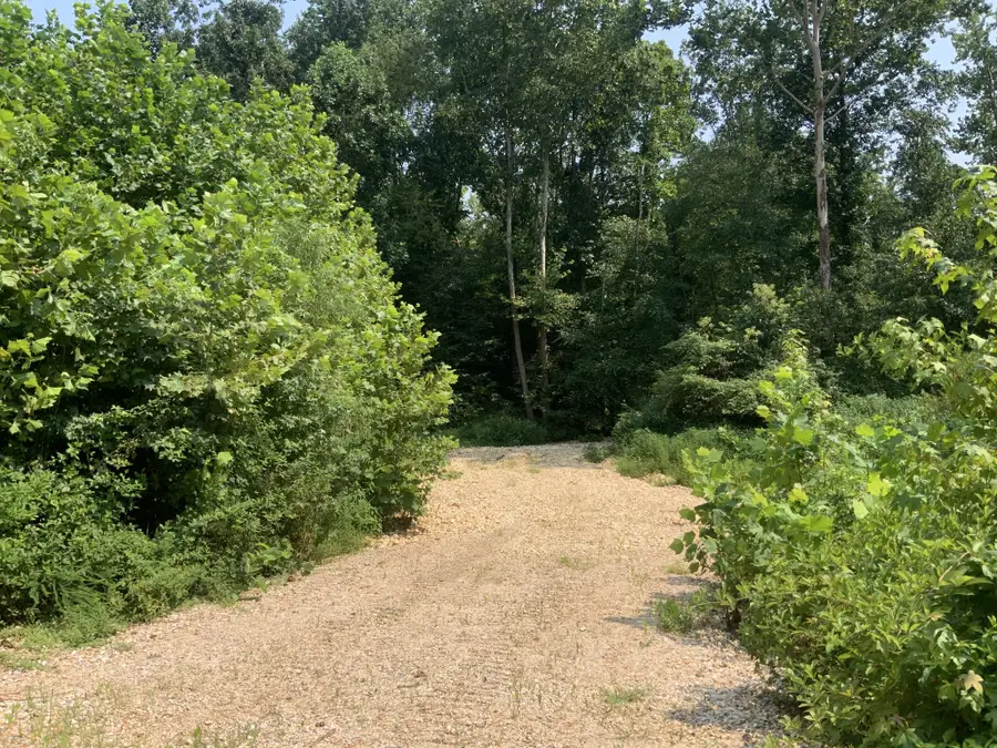 0 Copper Springs Road, Springville, TN 38256 - #3