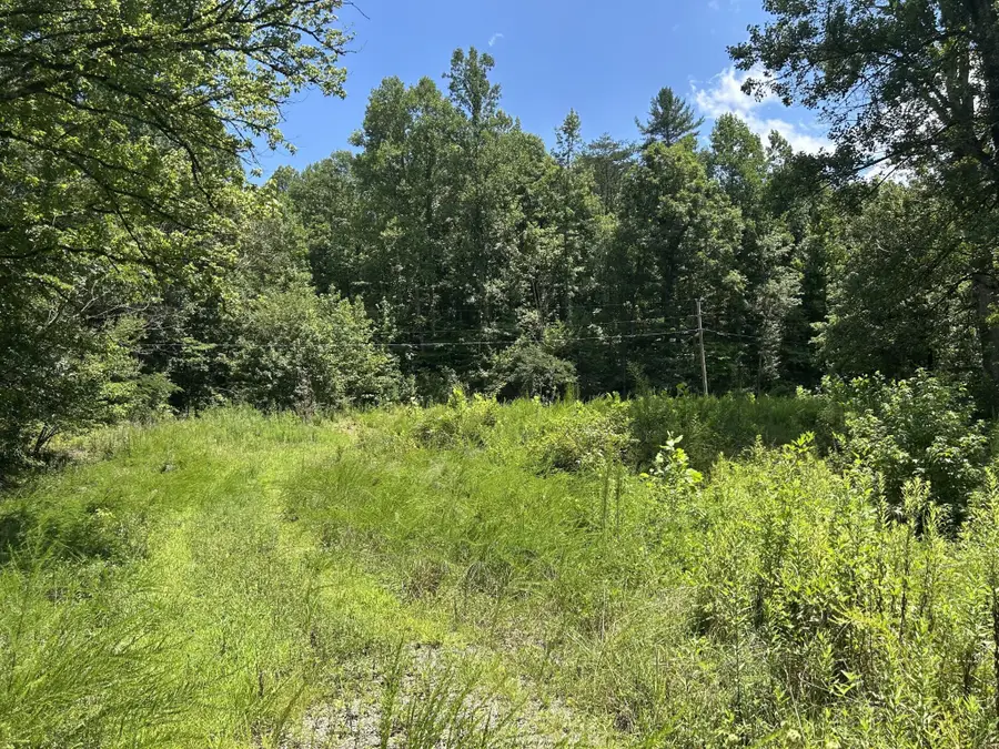 1182 Tellico Reliance Road, Reliance, TN 37369 - #3