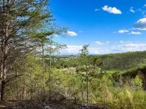 0 Owl Hollow Road Sw, Mc Donald, TN 37353