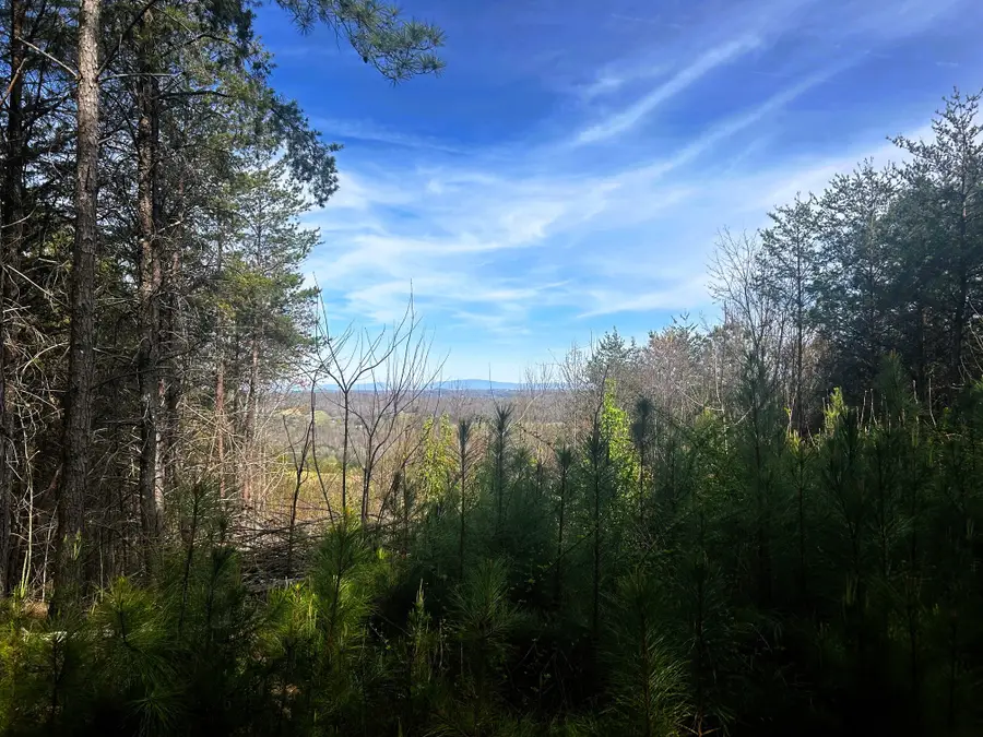 0 Owl Hollow Road Sw, Mc Donald, TN 37353 - #3