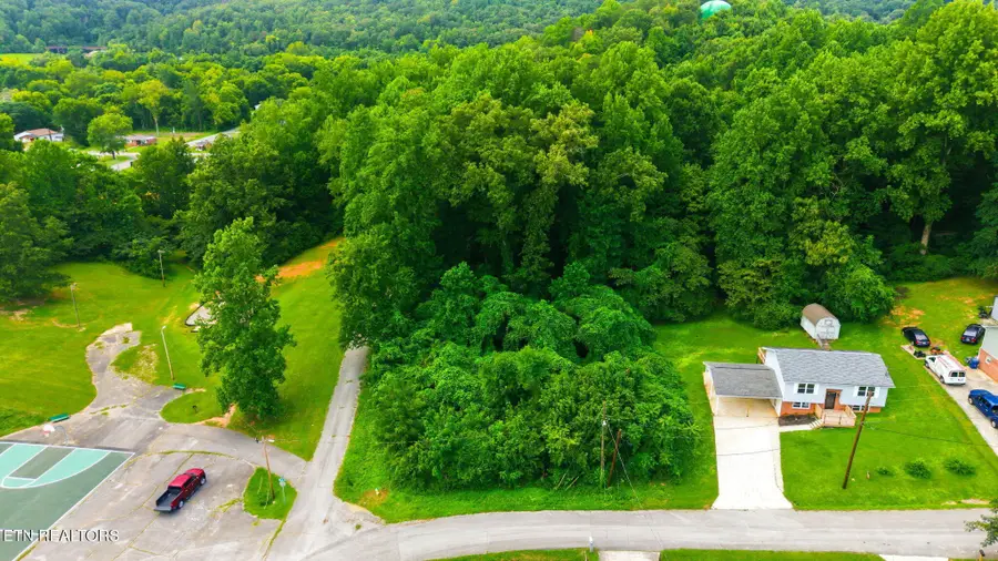 501 Martin Luther King Jr D, Rockwood, TN 37854 - #2